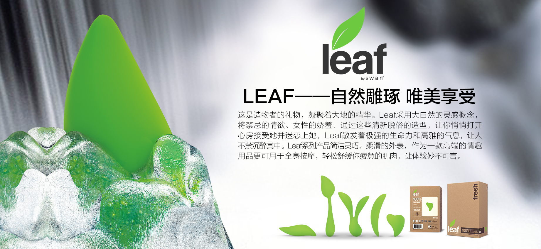官网详情leaf-.jpg